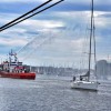 BinPartyGeil.de Fotos - 26. Hanse Sail Rostock 2016 am 11.08.2016 in DE-Rostock